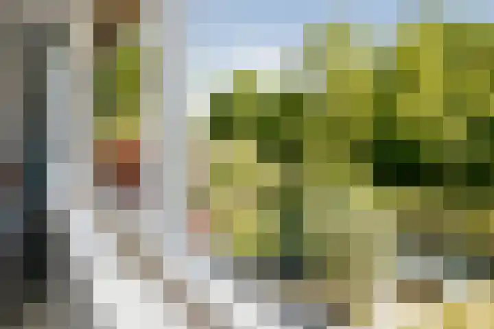 Oude Brinkweg 22 Haren Gn thumbnail 24