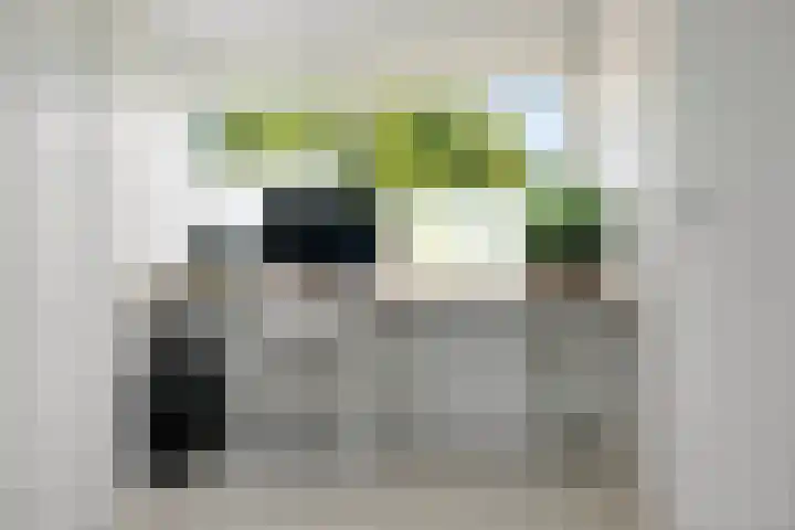 Oude Brinkweg 22 Haren Gn thumbnail 31