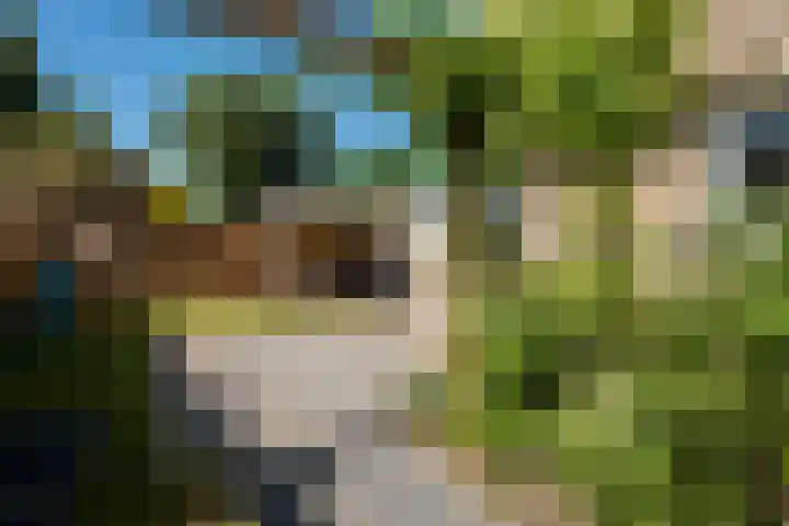 Oude Brinkweg 22 Haren Gn thumbnail 37