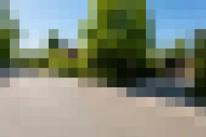 Oude Brinkweg 22 Haren Gn thumbnail 39