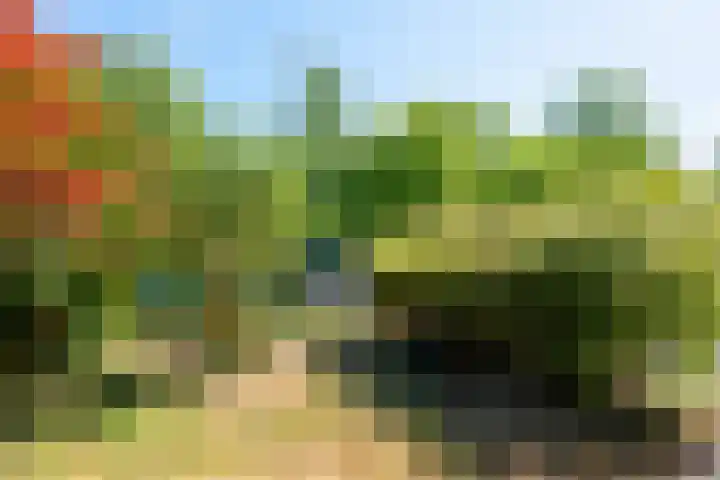 Oude Brinkweg 22 Haren Gn thumbnail 40