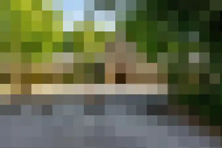 Oude Brinkweg 22 Haren Gn thumbnail 41