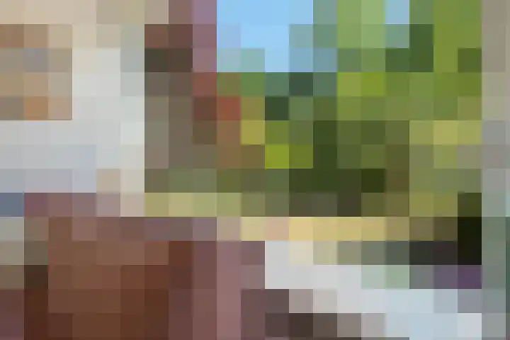 Oude Brinkweg 22 Haren Gn thumbnail 9