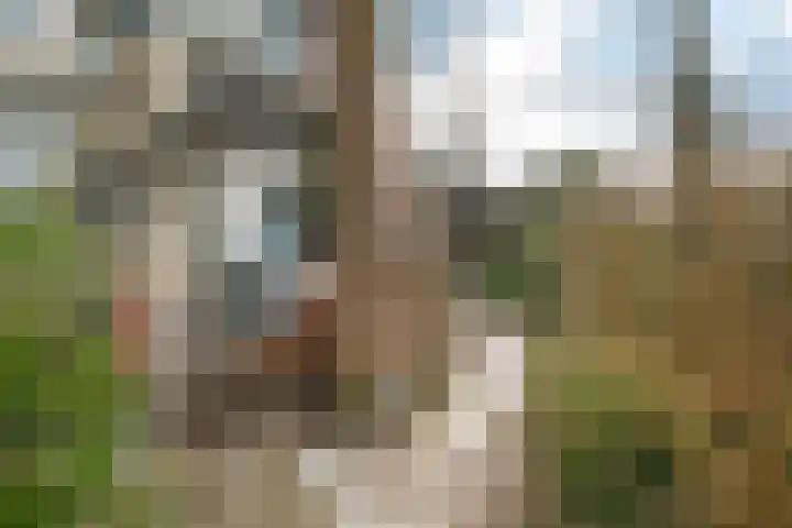 Oude Brinkweg 35 Haren Gn thumbnail 27