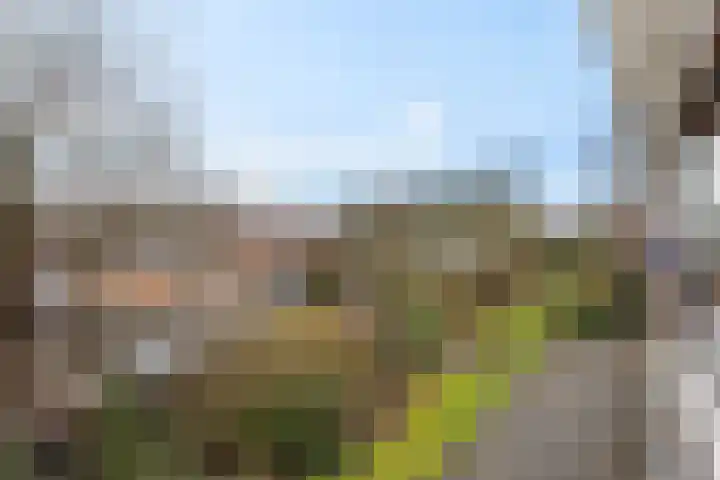 Oude Brinkweg 63 Haren Gn thumbnail 25