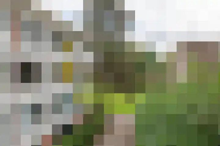 Oude Brinkweg 67 Haren Gn thumbnail 31