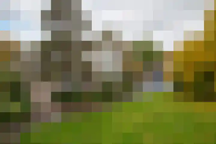 Oude Brinkweg 67 Haren Gn thumbnail 4