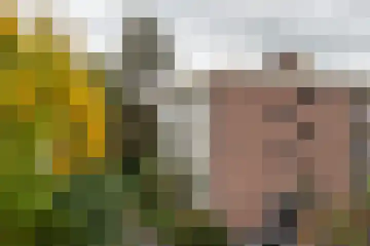 Oude Brinkweg 67 Haren Gn thumbnail 5