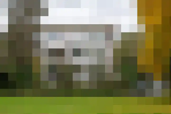 Oude Brinkweg 67 Haren Gn thumbnail 6