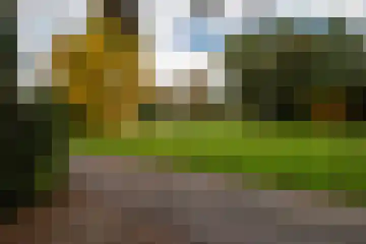 Oude Brinkweg 67 Haren Gn thumbnail 7