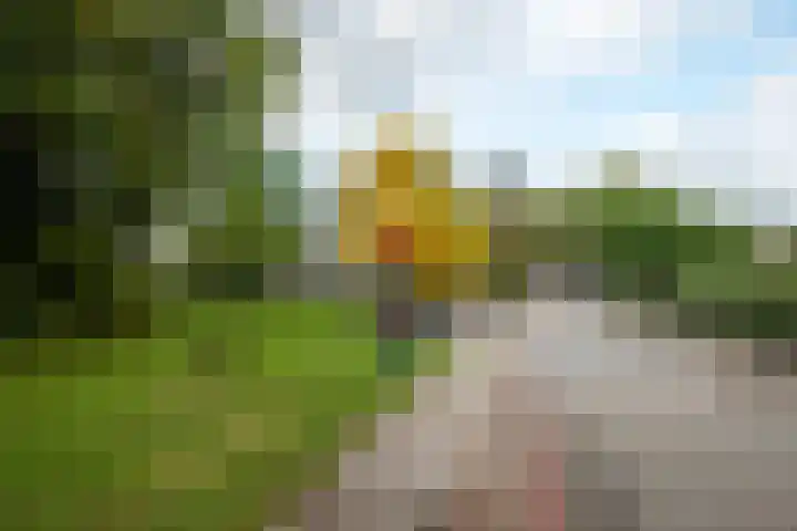 Oude Brinkweg 67 Haren Gn thumbnail 8