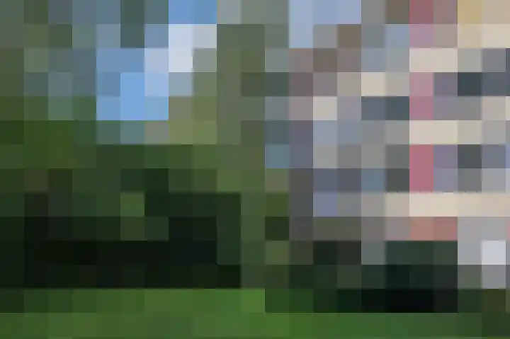 Oude Brinkweg 71 Haren Gn thumbnail 30