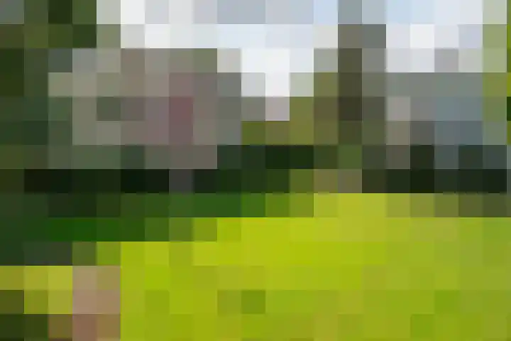 Oude Brinkweg 71 Haren Gn thumbnail 5