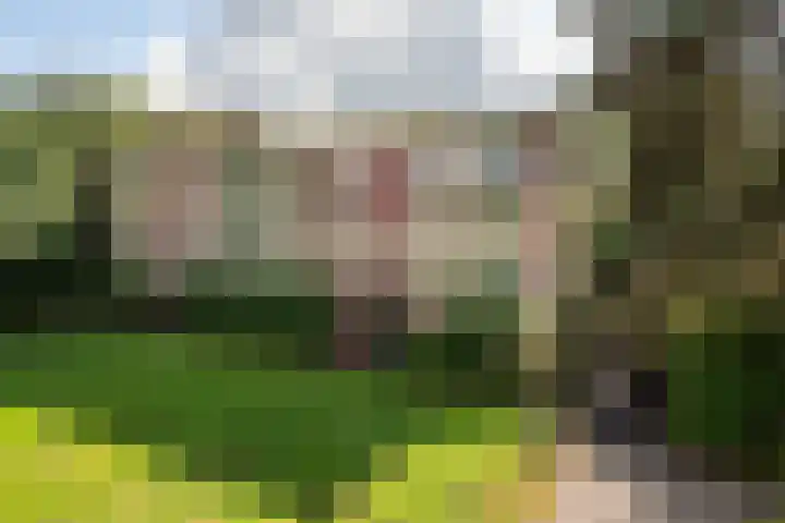 Oude Brinkweg 71 Haren Gn thumbnail 6
