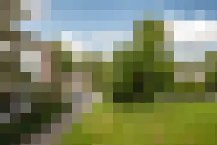 Oude Brinkweg 71 Haren Gn thumbnail 8