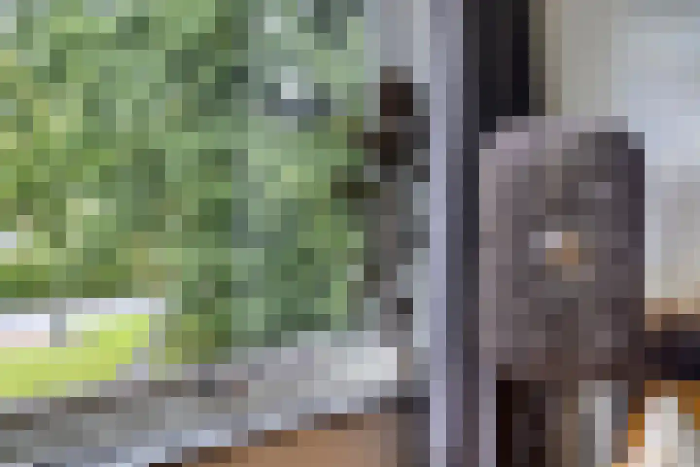 Oude Brinkweg 77 Haren Gn thumbnail 12