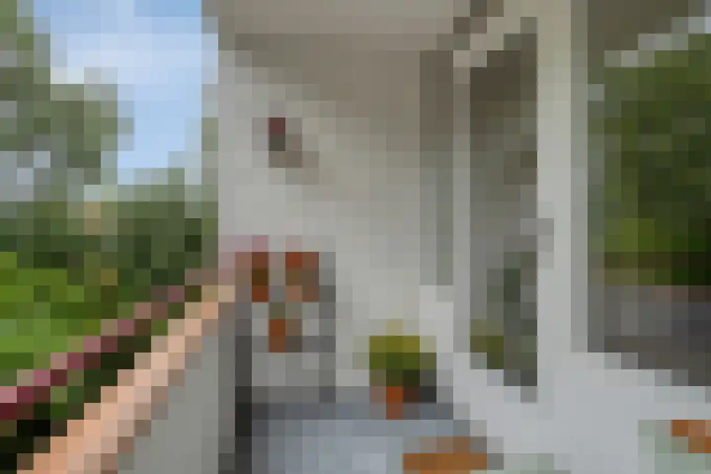 Oude Brinkweg 77 Haren Gn thumbnail 19