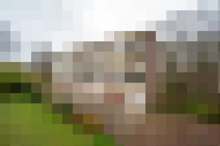 Oude Brinkweg 89 Haren Gn thumbnail 30
