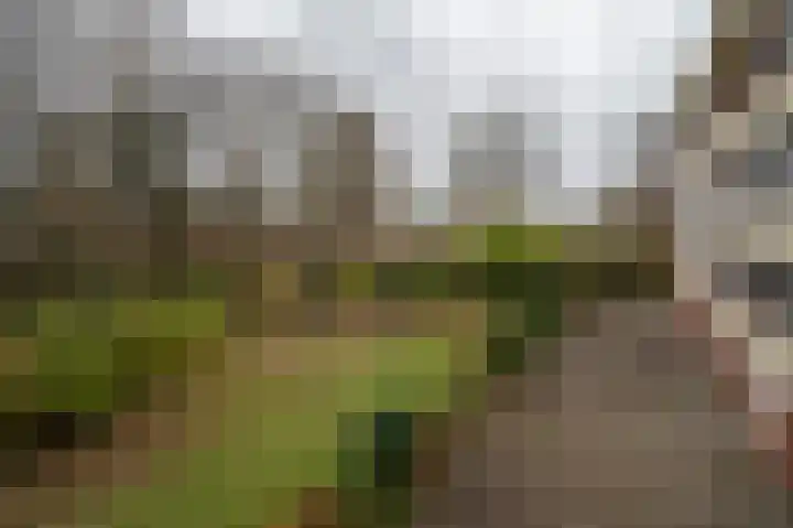 Oude Brinkweg 89 Haren Gn thumbnail 33