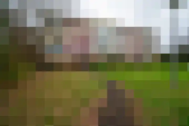 Oude Brinkweg 89 Haren Gn thumbnail 5