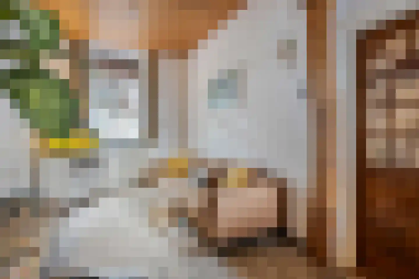 Oude Broeksittarderweg 11 Sittard thumbnail 6