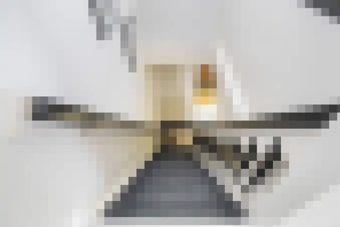Oude Bunnikseweg 4 De Bilt thumbnail 26