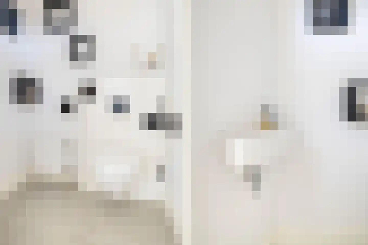 Oude Bunnikseweg 4 De Bilt thumbnail 39