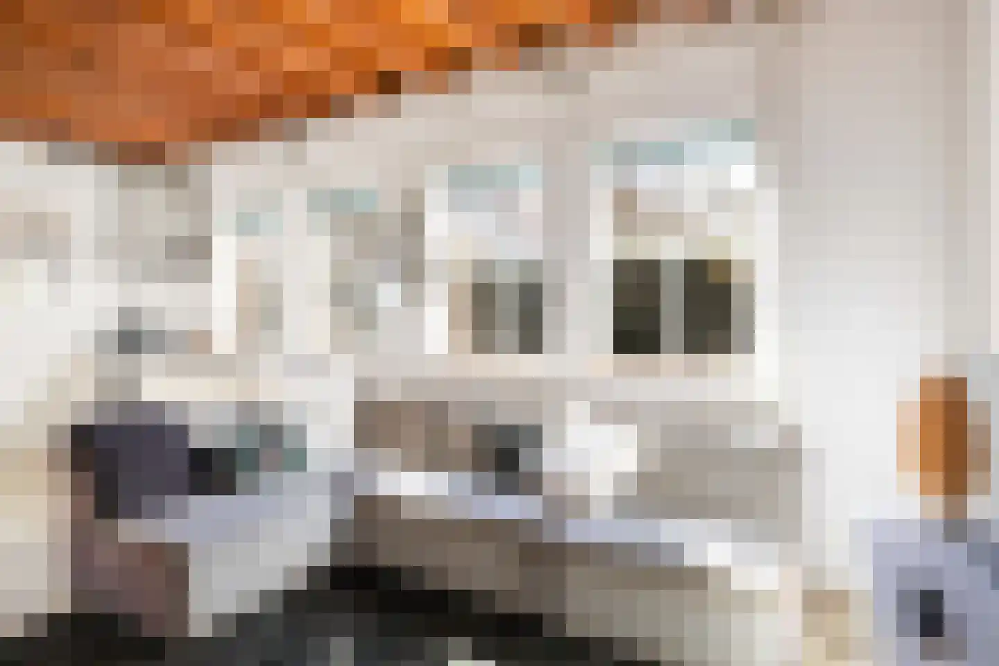 Oude Bunnikseweg 4 De Bilt thumbnail 47