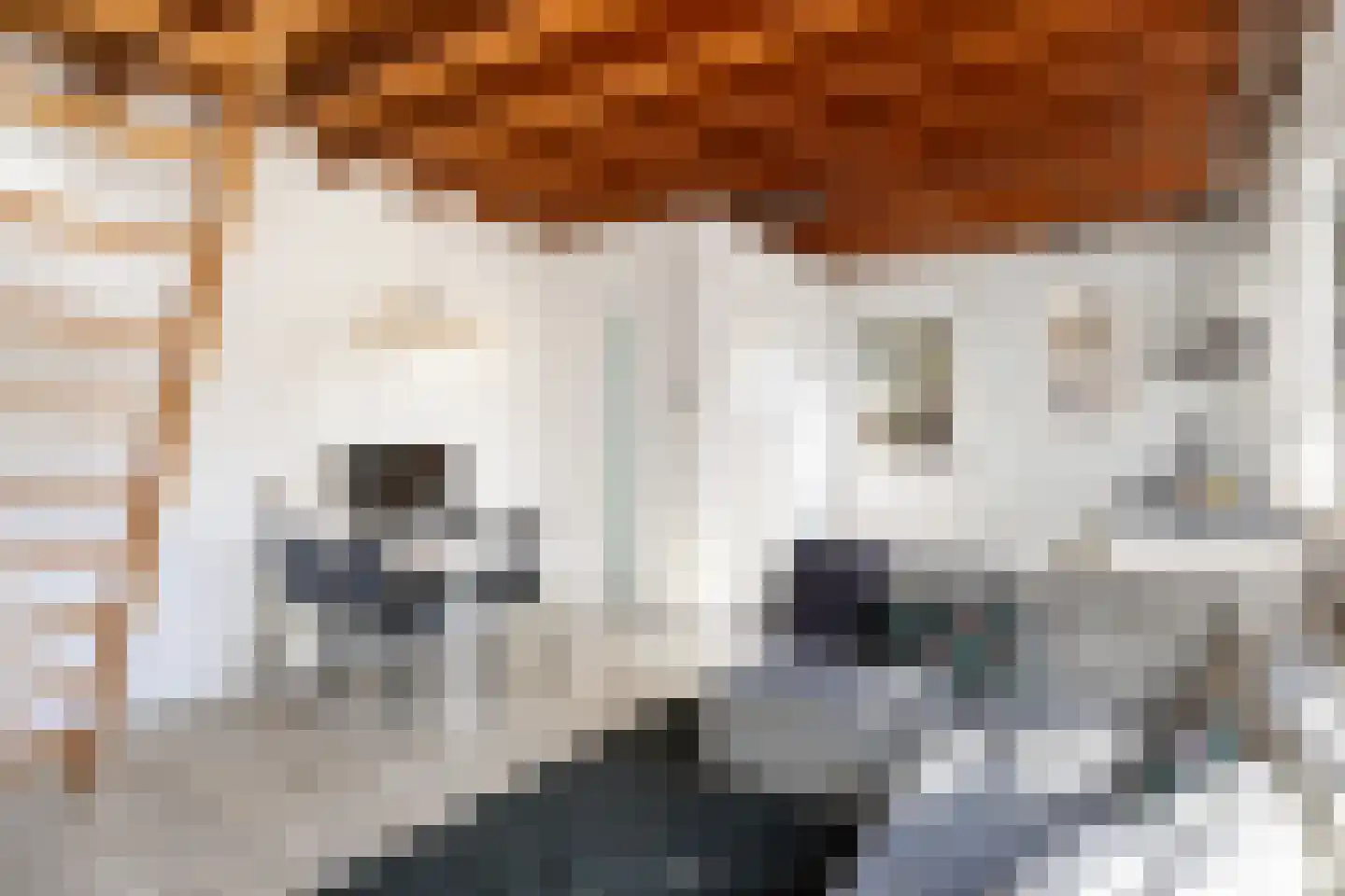 Oude Bunnikseweg 4 De Bilt thumbnail 48