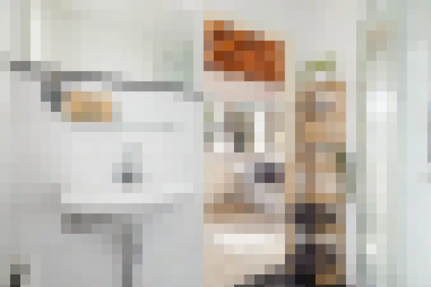 Oude Bunnikseweg 4 De Bilt thumbnail 50