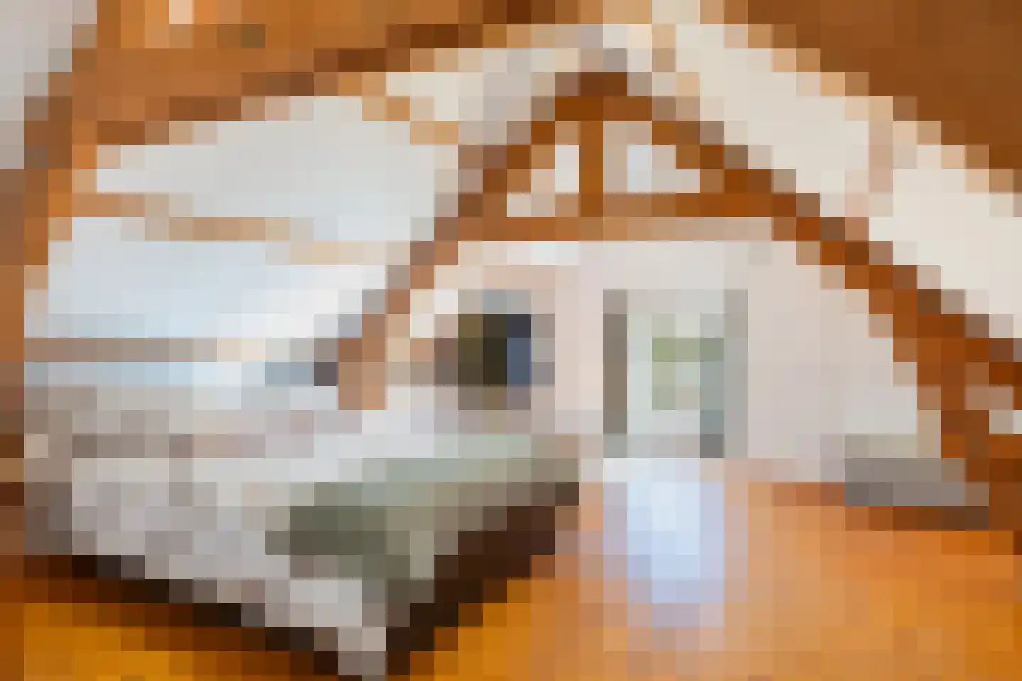 Oude Bunnikseweg 4 De Bilt thumbnail 52