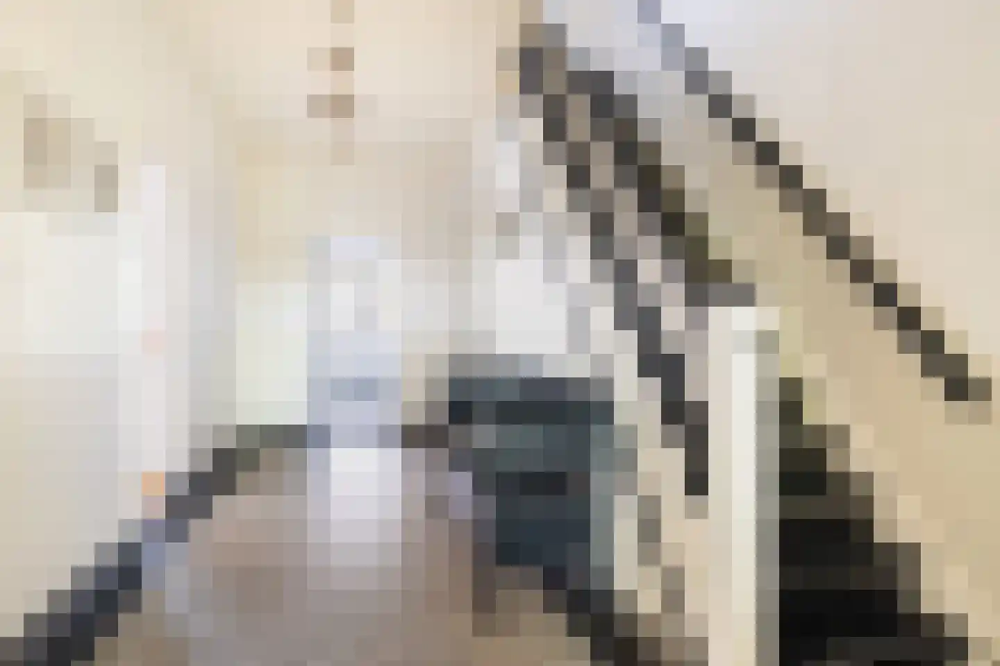 Oude Bunnikseweg 4 De Bilt thumbnail 8