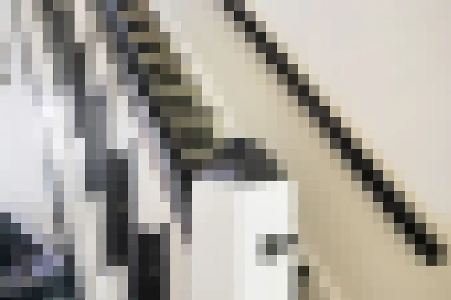 Oude Bunnikseweg 4 De Bilt thumbnail 9