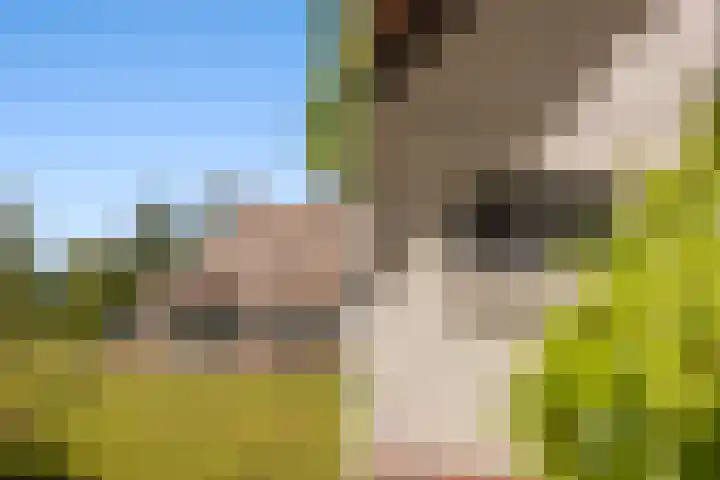 Oude Commissieweg 25 Noardburgum thumbnail 10