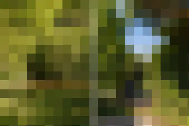 Oude Commissieweg 25 Noardburgum thumbnail 11