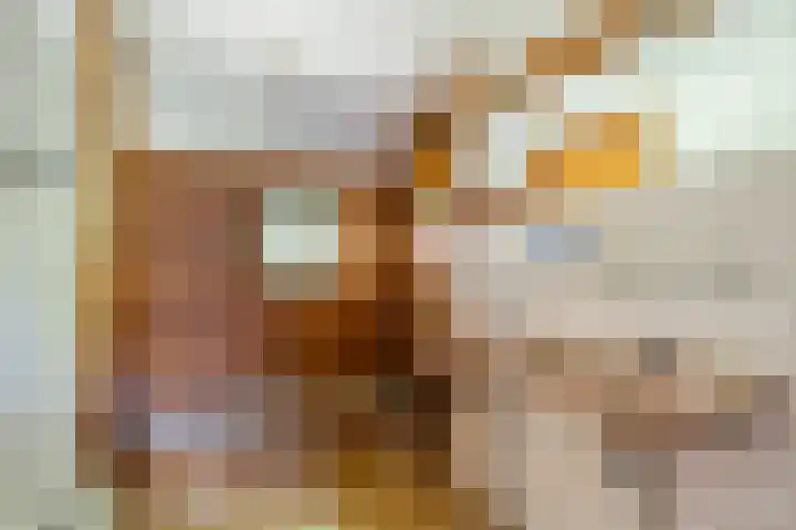 Oude Commissieweg 25 Noardburgum thumbnail 29