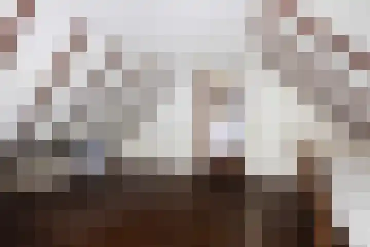 Oude Commissieweg 25 Noardburgum thumbnail 31