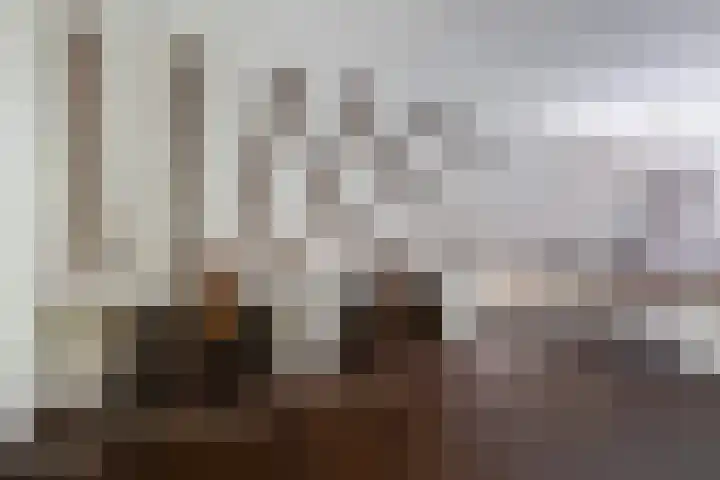 Oude Commissieweg 25 Noardburgum thumbnail 32