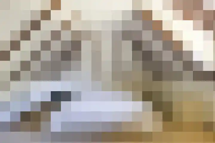 Oude Commissieweg 25 Noardburgum thumbnail 33