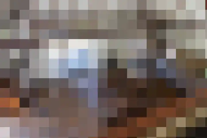 Oude Commissieweg 25 Noardburgum thumbnail 35