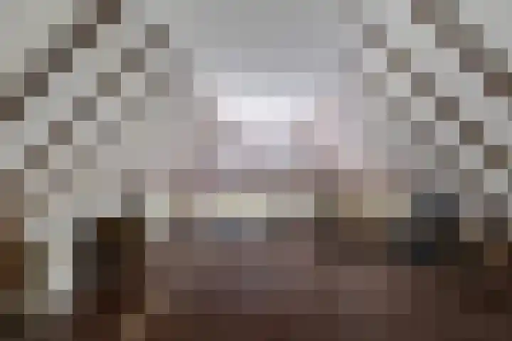 Oude Commissieweg 25 Noardburgum thumbnail 36