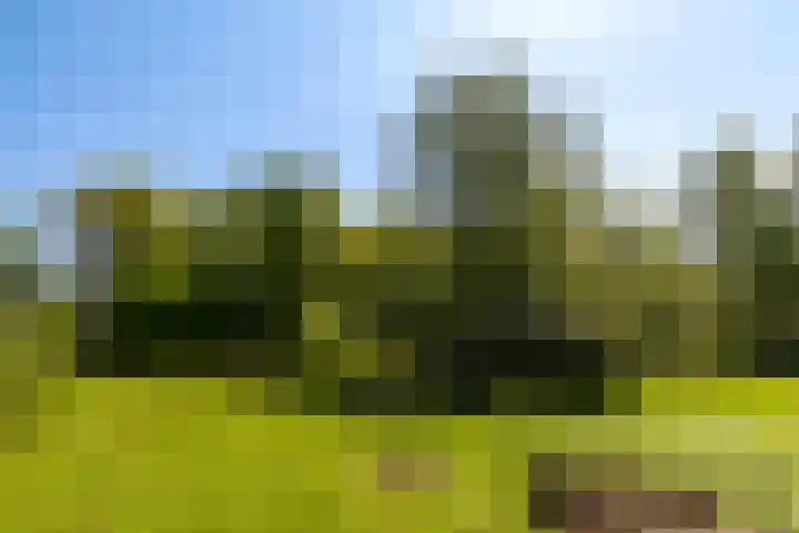 Oude Commissieweg 25 Noardburgum thumbnail 37