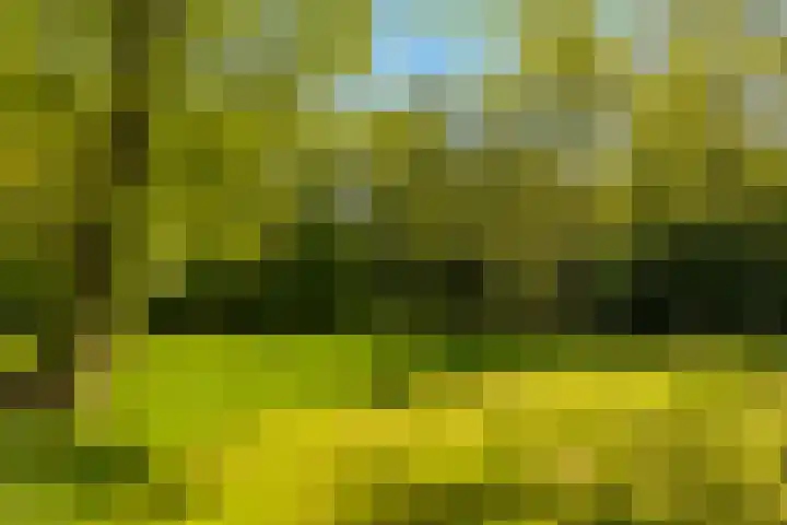 Oude Commissieweg 25 Noardburgum thumbnail 38