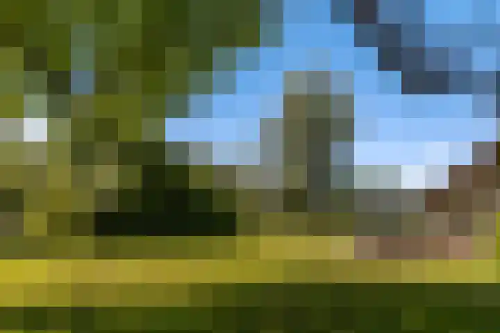 Oude Commissieweg 25 Noardburgum thumbnail 39