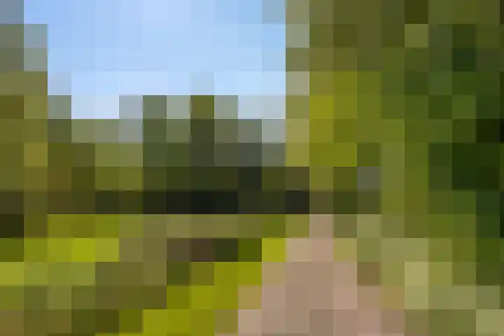 Oude Commissieweg 25 Noardburgum thumbnail 4