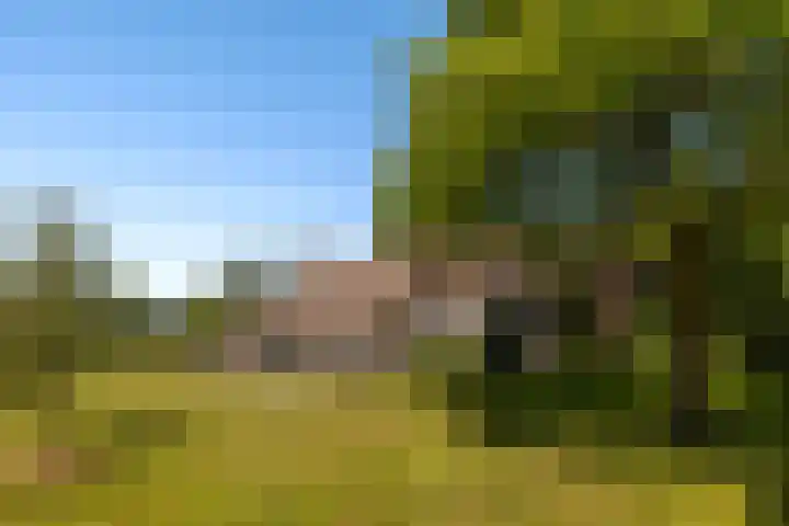 Oude Commissieweg 25 Noardburgum thumbnail 40