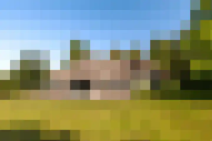 Oude Commissieweg 25 Noardburgum thumbnail 41