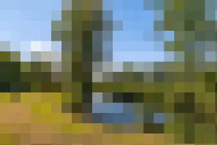 Oude Commissieweg 25 Noardburgum thumbnail 42