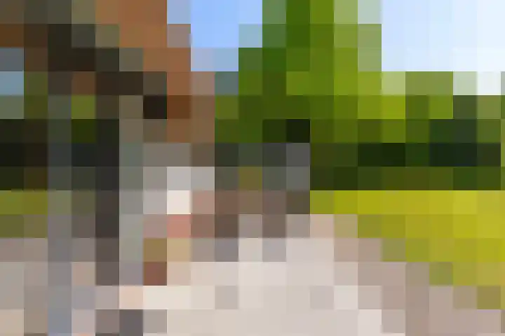 Oude Commissieweg 25 Noardburgum thumbnail 43
