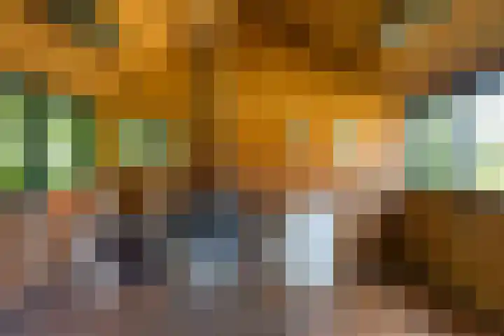 Oude Commissieweg 25 Noardburgum thumbnail 46